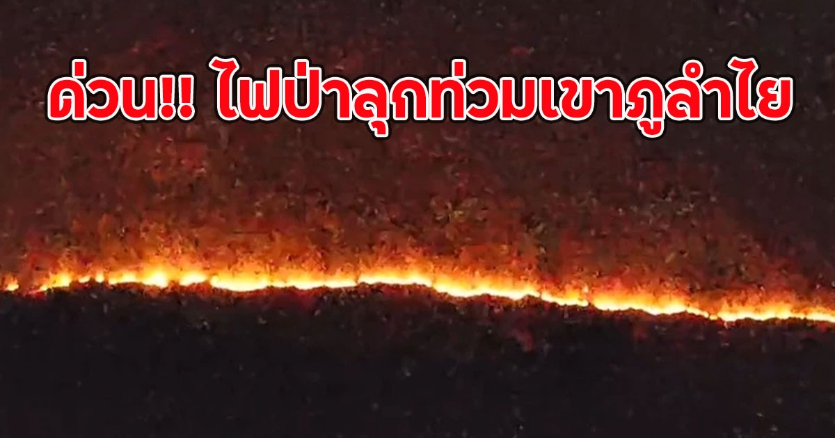 ด่วน!! ไฟป่าลุกท่วมเขาภูลำไย จนท.ยังเข้าดับไม่ได้