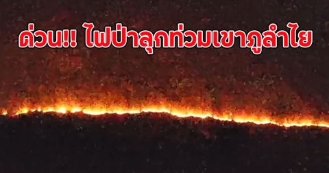 ด่วน!! ไฟป่าลุกท่วมเขาภูลำไย จนท.ยังเข้าดับไม่ได้