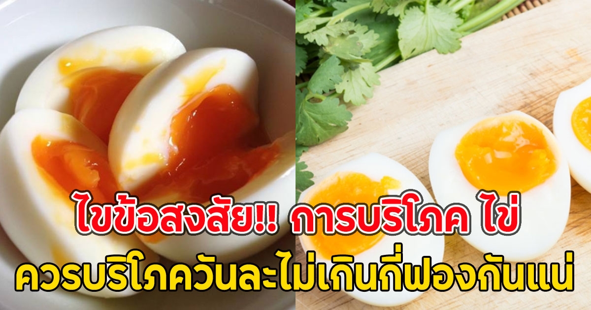 ไขข้อสงสัย!! การบริโภค ไข่ ควรบริโภควันละไม่เกินกี่ฟองกันแน่