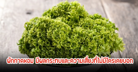 หลายคนยังไม่รู้! ผักกาดหอม มีผลกระทบและความเสี่ยงที่ไม่มีใครเคยบอก