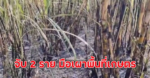 เอาจริง จับ 2 ราย มือเผาพื้นที่เกษตร ลามไหม้ไร่อ้อย 30 ไร่ ทำฝุ่น PM2.5 พุ่ง