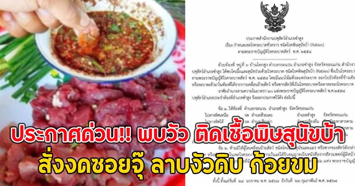 ประกาศด่วน!! พบวัว ติดเชื้อพิษสุนัขบ้า สั่งงดซอยจุ๊ ลาบงัวดิบ ก้อยขม