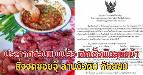 ประกาศด่วน!! พบวัว ติดเชื้อพิษสุนัขบ้า สั่งงดซอยจุ๊ ลาบงัวดิบ ก้อยขม