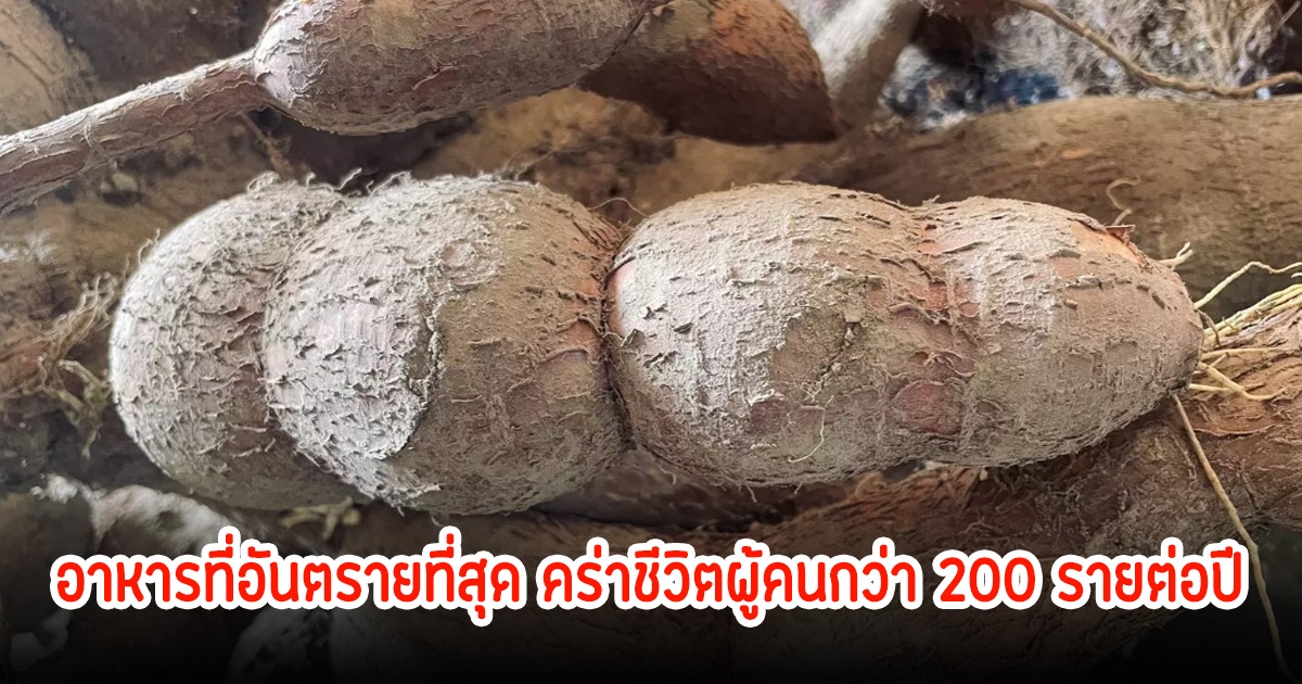 เมนูโปรดใครหลายคน! อาหารที่อันตรายที่สุด คร่าชีวิตผู้คนกว่า 200 รายต่อปี พร้อมเผยวิธีทำที่ถูก