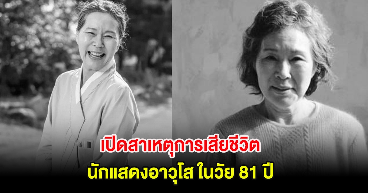 วงการบันเทิงเศร้า! เปิดสาเหตุการเสียชีวิต นักแสดงอาวุโส ในวัย 81 ปี (ต่างประเทศ)