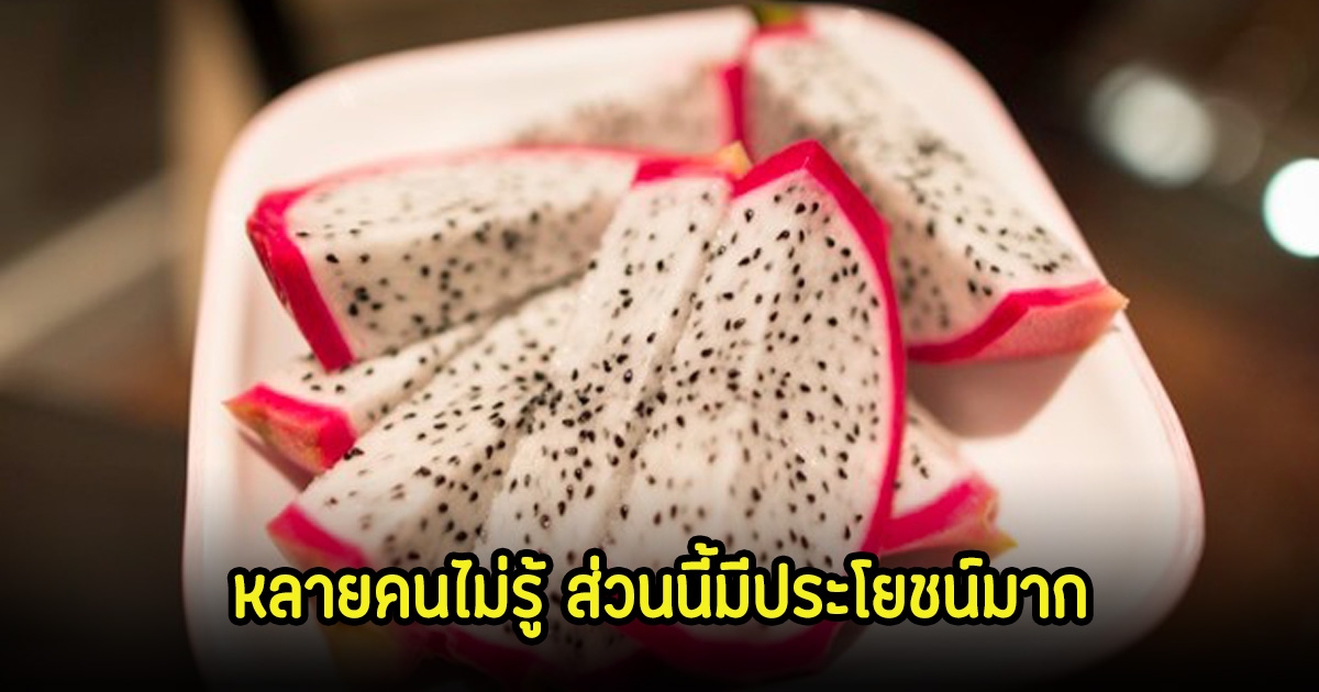 ผลวิจัยเผย แก้วมังกร ผลไม้ต้านมะเร็ง หลายคนคิดผิดทิ้งส่วนสำคัญไป แต่ดันมีประโยชน์มาก