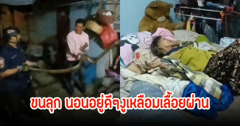 ขนลุก! ยายวัย 85 ปี หัวใจแทบวาย งูเหลือมใหญ่เลื่อนผ่าน หลังกำลังนอนอยู่ดีๆ