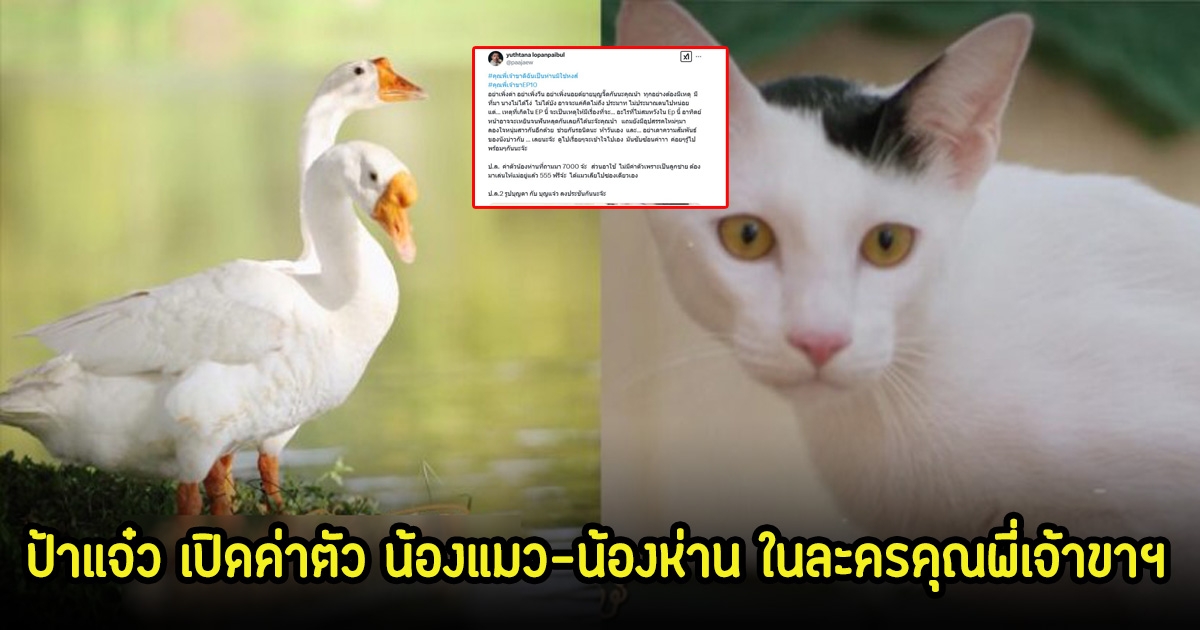 ป้าแจ๋ว เปิดค่าตัว น้องแมว-น้องห่าน ในละครคุณพี่เจ้าขาฯ หลังแฟนๆต่างเอ็นดูหนักมาก