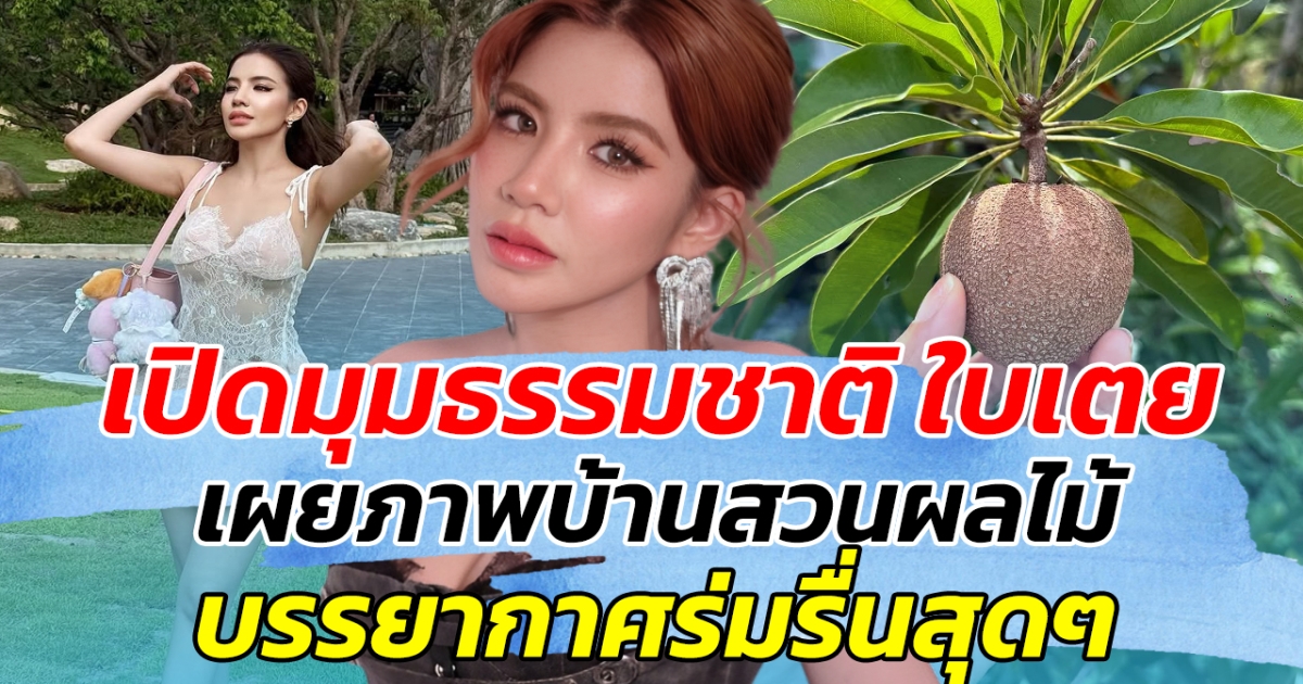 เปิดมุมธรรมชาติ ใบเตย เผยภาพบ้านสวนผลไม้ บรรยากาศร่มรื่นสุดๆ