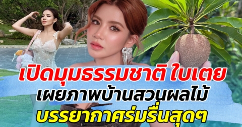 เปิดมุมธรรมชาติ ใบเตย เผยภาพบ้านสวนผลไม้ บรรยากาศร่มรื่นสุดๆ