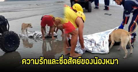 น้ำตาไหล! น้องหมาผู้ซื่อสัตย์ เฝ้าร่างไม่ห่าง หลังเจ้านายจมน้ำเสียชีวิต (ข่าวต่างประเทศ)