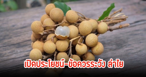 เปิดประโยชน์-ข้อควรระวัง ลำไย ของโปรดใครหลายคน
