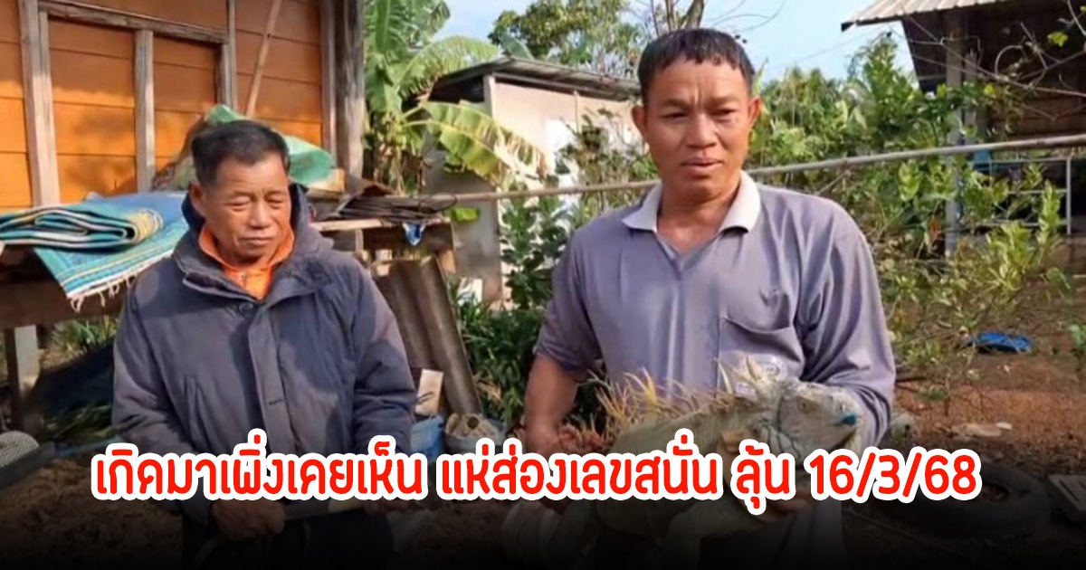 ตัวใหญ่มาก! อิกัวน่ายักษ์โผล่ทุ่งนา เกิดมาเพิ่งเคยเห็น ชาวบ้านแห่ส่องเลขสนั่น ลุ้น 16/3/68
