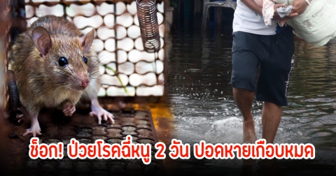 ช็อก! พยาบาลเผยภาพเอกซเรย์ ผู้ป่วยโรคฉี่หนู 2 วัน ปอดหายเกือบหมด เสี่ยงเสียชีวิตได้