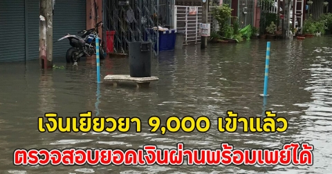 เงินเยียวยา 9,000 เข้าแล้ว ตรวจสอบยอดเงินผ่านพร้อมเพย์ได้