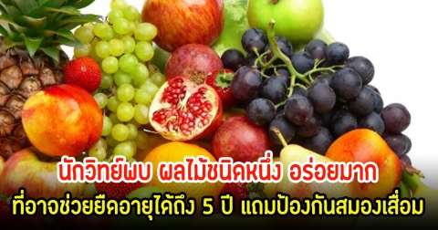 ที่ไทยมีเยอะมาก! นักวิทย์พบ ผลไม้ชนิดหนึ่ง อร่อยมาก ที่อาจช่วยยืดอายุได้ถึง 5 ปี แถมป้องกันสมองเสื่อม