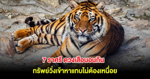 เปิด 7 ราศรี ดวงเสือนอนกิน ทรัพย์วิ่งเข้าหาแทบไม่ต้องเหนื่อย