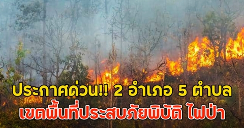 ประกาศด่วน!! 2 อำเภอ 5 ตำบล เขตพื้นที่ประสบภัยพิบัติ ไฟป่า