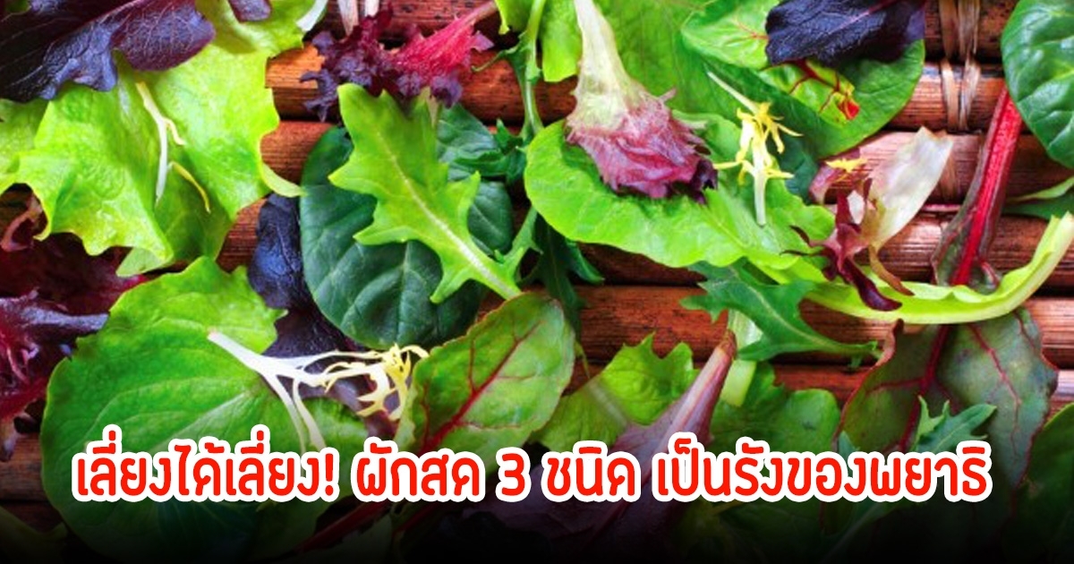 เลี่ยงได้เลี่ยง! ผัก 3 ชนิด ไม่ควรกินดิบๆเป็นรังของพยาธิ หลายคนชอบกินสดๆมากกว่า