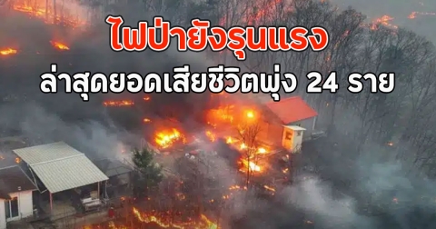ไฟป่ายังรุนแรง ล่าสุดยอดเสียชีวิตพุ่ง 24 ราย เจ็บสาหัส 12 ราย