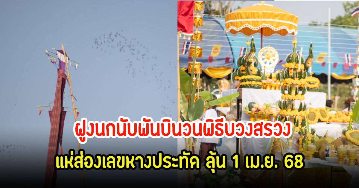 ขนลุก! ฝูงนกนับพันบินวนพิธีบวงสรวง แห่ส่องเลขหางประทัด ลุ้น 1 เม.ย. 68