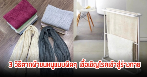ภัยเงียบ! 3 วิธีตากผ้าขนหนูแบบผิดๆ เชื้อเชิญโรคเข้าสู่ร่างกาย แบคทีเรียพุ่ง
