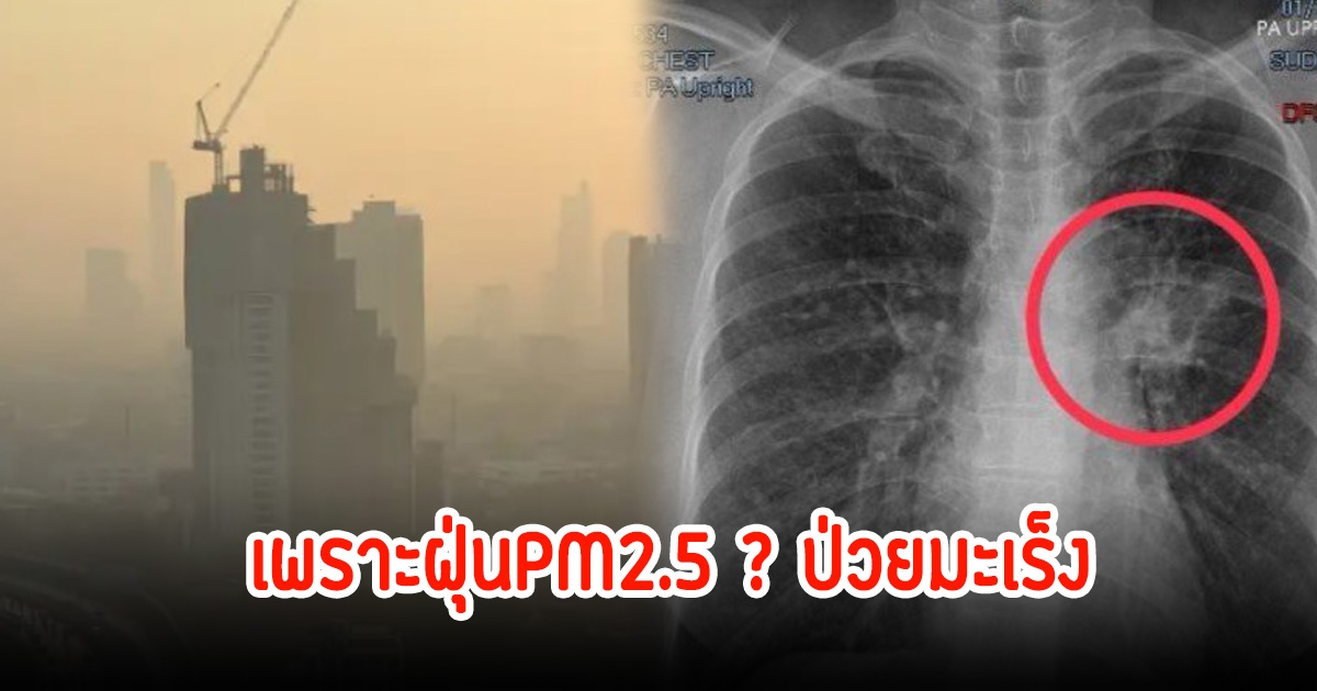 สาววัย 41ปีแชร์อุทาหรณ์ สุขภาพแข็งแรง-ไม่สูบบุหรี่-ไร้ปัจจัยเสี่ยง ป่วยมะเร็ง สุดท้ายเป็นเพราะฝุ่น