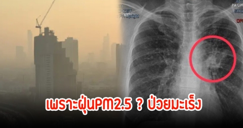 สาววัย 41ปีแชร์อุทาหรณ์ สุขภาพแข็งแรง-ไม่สูบบุหรี่-ไร้ปัจจัยเสี่ยง ป่วยมะเร็ง สุดท้ายเป็นเพราะฝุ่น