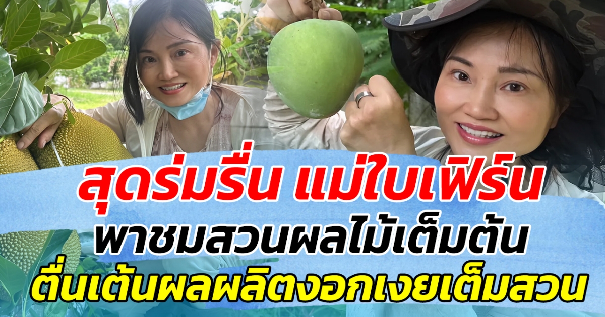 สุดร่มรื่น แม่ใบเฟิร์น พาชมสวนผลไม้เต็มต้น ตื่นเต้นผลผลิตงอกเงยเต็มสวน