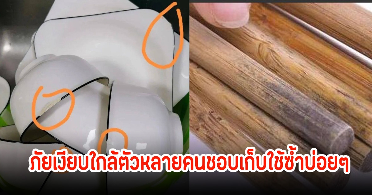 ทิ้งด่วน! 4 สิ่งในบ้าน อาจทำให้กลายเป็น แหล่งเชื้อโรค ภัยเงียบใกล้ตัวหลายคนชอบเก็บใช้ซ้ำ