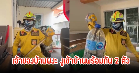 เข้าทีเดียว2ตัว! เจ้าของบ้านตกใจ เจองูอยู่ในบ้าน วิ่งหนีมาหน้าบ้านเจออีกตัว รีบแจ้งกู้ภัยมาจับทันที