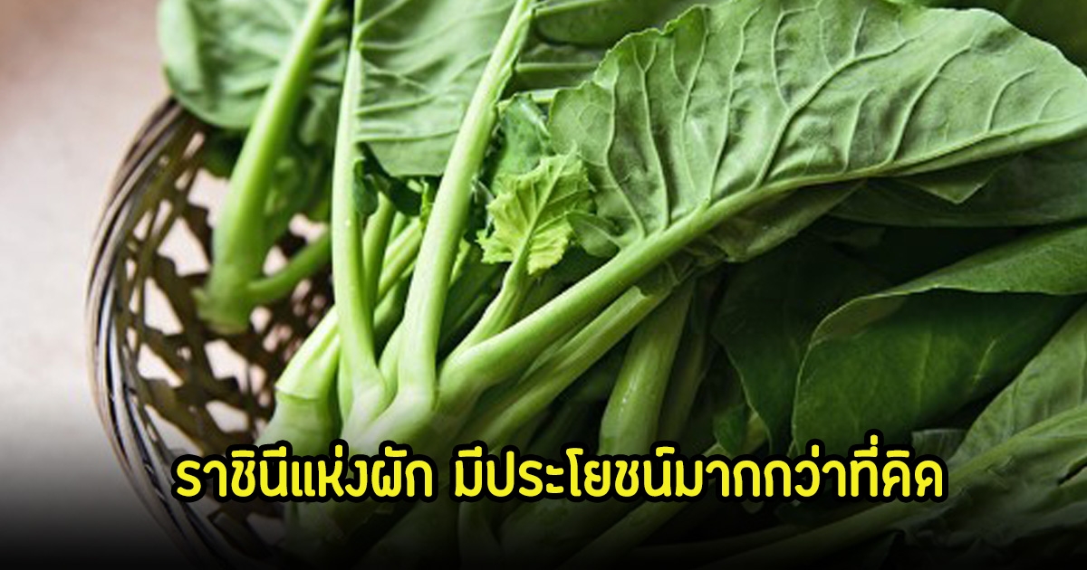 แนะนำผักที่ดีที่สุด ได้รับฉายาว่า ราชินีแห่งผัก มีประโยชน์มากกว่าที่คิด คนไทยหาซื้อง่าย