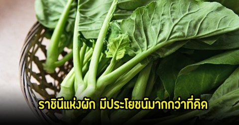 แนะนำผักที่ดีที่สุด ได้รับฉายาว่า ราชินีแห่งผัก มีประโยชน์มากกว่าที่คิด คนไทยหาซื้อง่าย