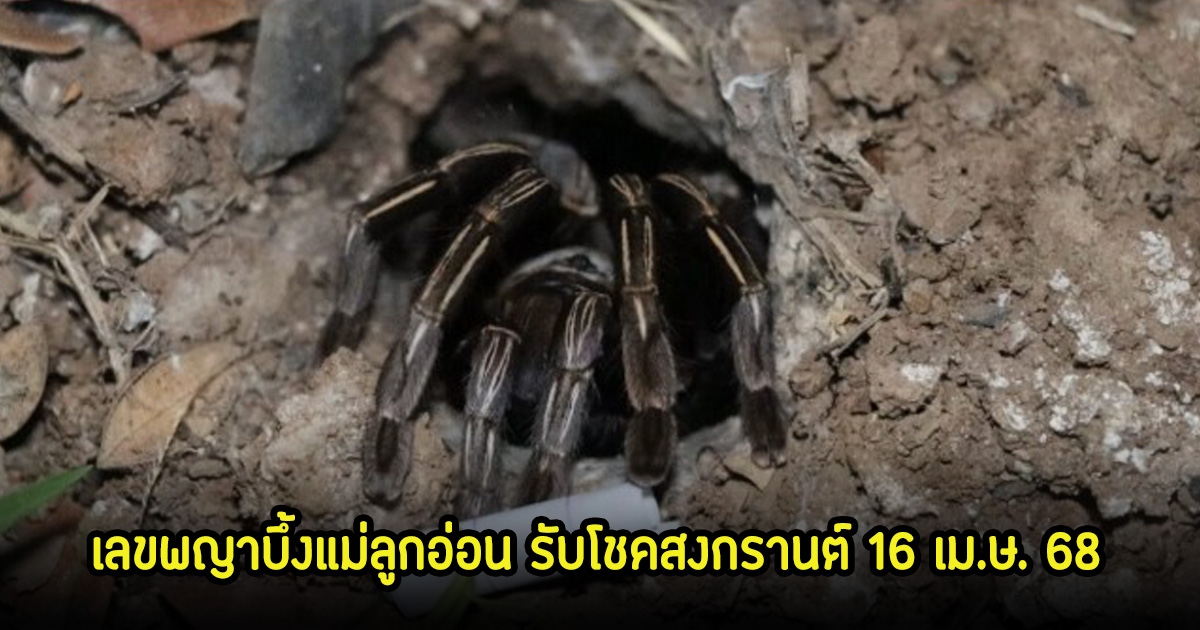 มาแล้ว! เลขพญาบึ้งแม่ลูกอ่อน รับโชคสงกรานต์ 16 เม.ษ. 68