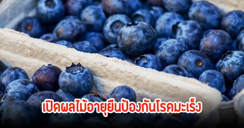 เปิดผลไม้อายุยืนป้องกันโรคมะเร็ง คาดไม่ถึง ในไทยก็มีได้ยินชื่อแล้วร้องอ๋อ
