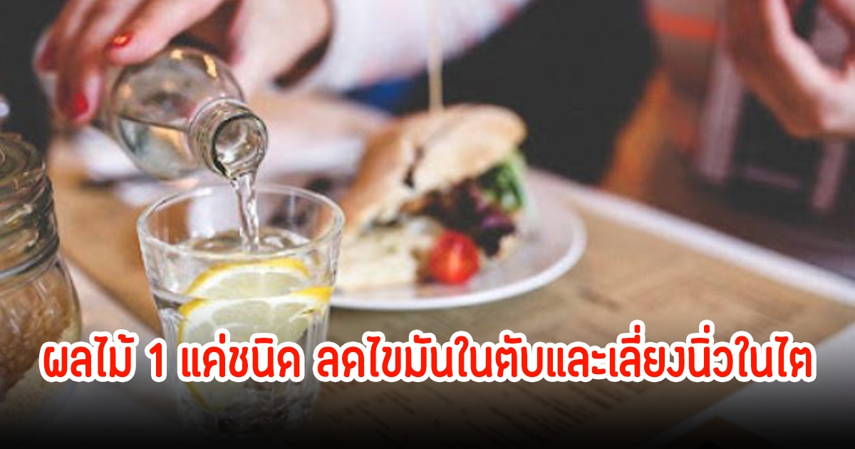 แพทย์แนะนำเครื่องดื่ม ลดไขมันในตับและเลี่ยงนิ่วในไต ใช้ผลไม้ 1 แค่ชนิด ที่ไทยมีเพียบ