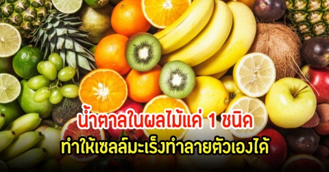 วิจัยเผย น้ำตาลในผลไม้แค่ 1 ชนิด ทำให้เซลล์มะเร็งทำลายตัวเองได้ หากินง่ายไทยมีเยอะมาก