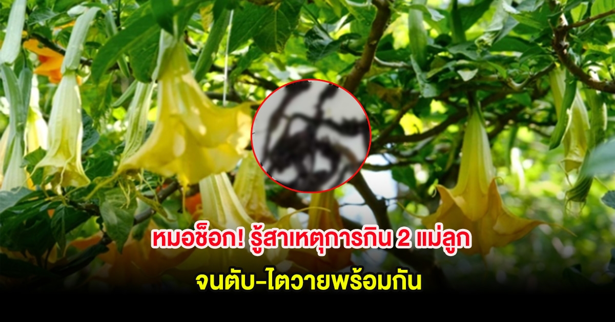 หมอช็อก! รู้สาเหตุการกิน 2 แม่ลูก จนตับ-ไตวายพร้อมกัน