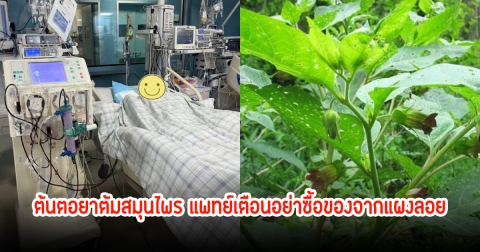 ช็อก! แม่ลูก ป่วยไตวายพร้อมกัน ต้นตอยาต้มสมุนไพร แพทย์เตือนอย่าซื้อของจากแผงลอย