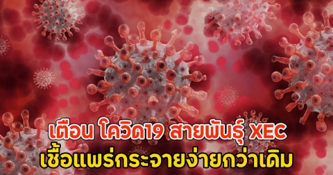 กรมควบคุมโรค เตือน โควิด19 สายพันธ์ุ XEC เชื้อแพร่กระจายง่ายกว่าเดิม