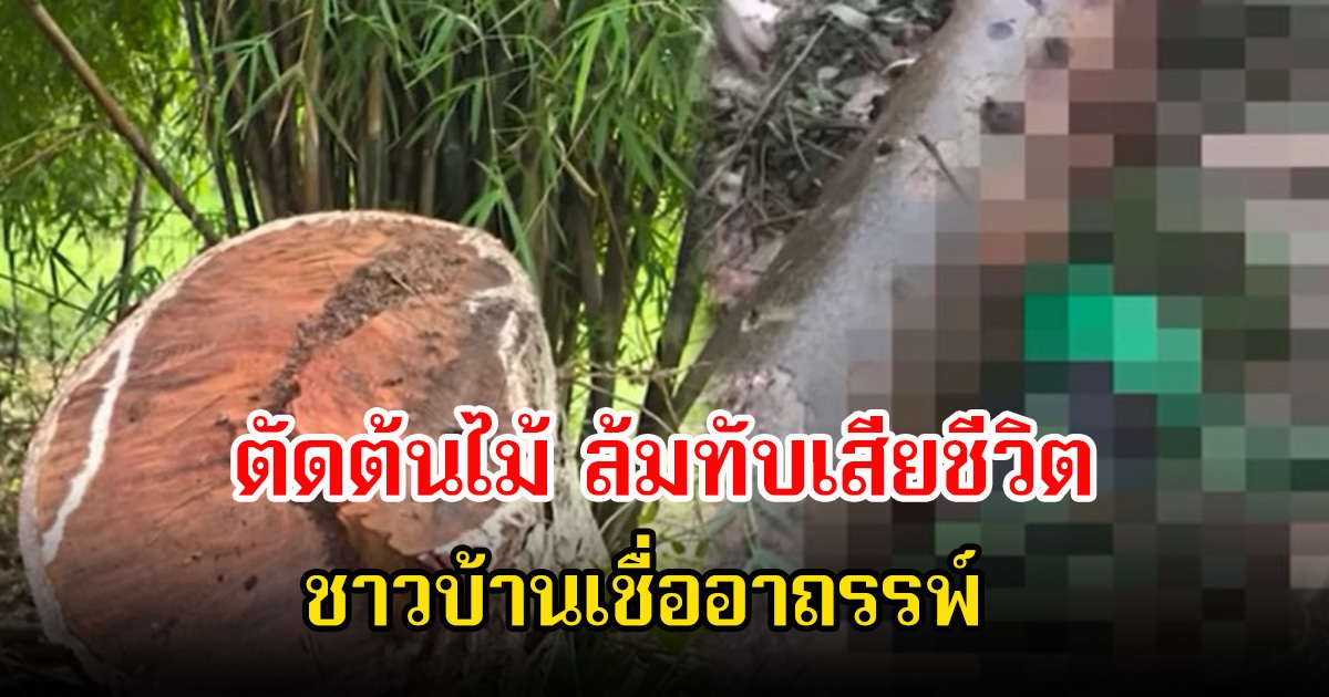 เฮี้ยนมาก! หนุ่มตัดต้นไม้ ล้มทับเสียชีวิต ชาวบ้านเชื่อ ไปตัดต้นโพธิ์ร้อยปี สุนัขหอนต่อหน้า 3 ครั้ง เหมือนเป็นลางร้าย