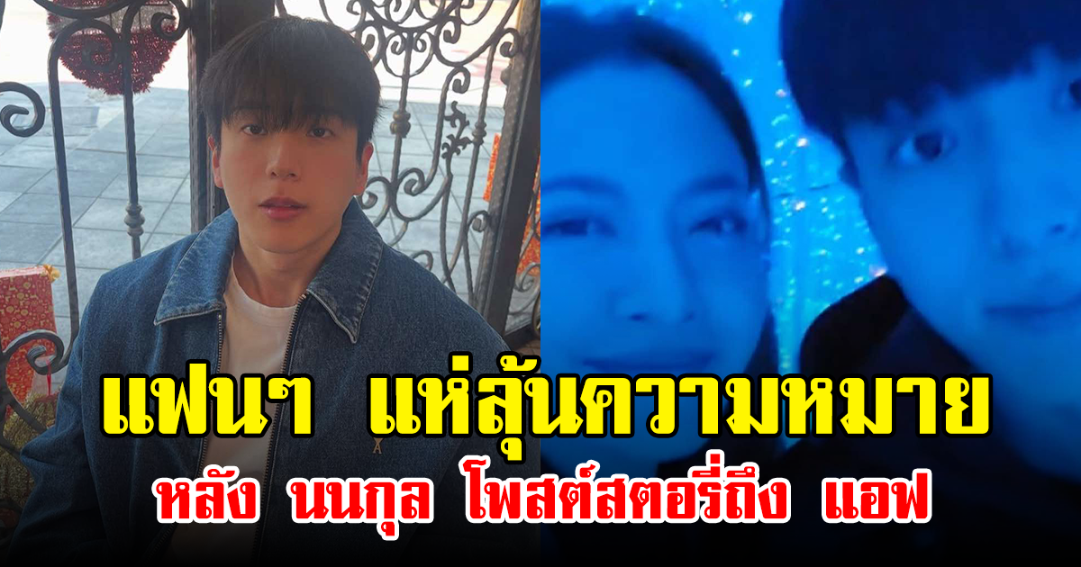 แฟนๆ ตีความหมาย หลัง นนกุล โพสต์สตอรี่ถึง แอฟ