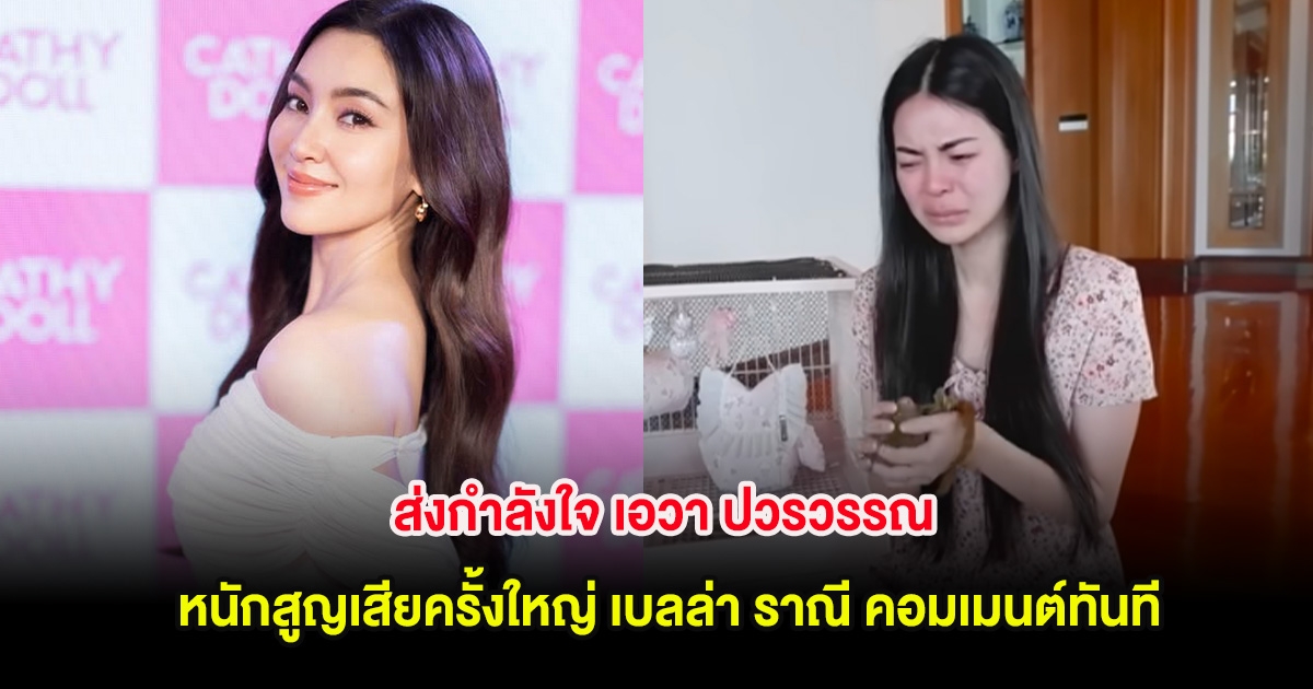 ส่งกำลังใจ เอวา ปวรวรรณ ร่ำไห้หนักสูญเสียครั้งใหญ่ เบลล่า ราณี คอมเมนต์ทันที