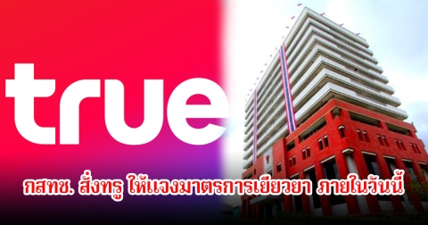 กสทช. สั่งทรู ให้แจงมาตรการเยียวยา ภายในวันนี้ หลังเน็ตล่ม