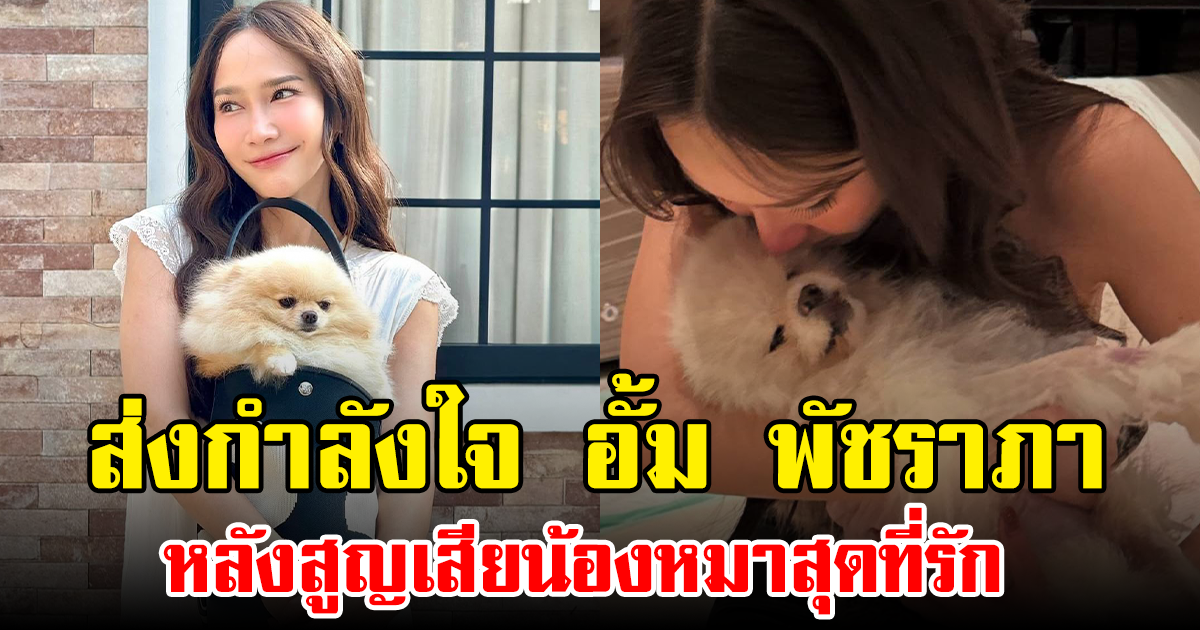 ส่งกำลังใจ อั้ม พัชราภา หลังสูญเสียน้องหมาสุดที่รัก