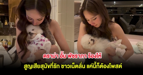 ดราม่า อั้ม พัชราภา ร้องไห้ สูญเสียสุนัขที่รักเหมือนคนในครอบครัว ชาวเน็ตลั่น แค่นี้ก็ต้องโพสต์