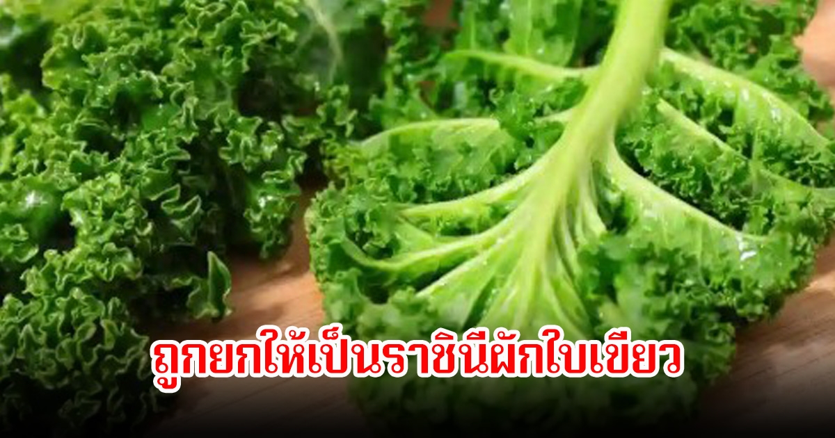 ผัก 1 ชนิด ถูกยกให้เป็นราชินีผักใบเขียว เสริมภูมิคุ้มกัน ยับยั้งเซลล์มะเร็ง