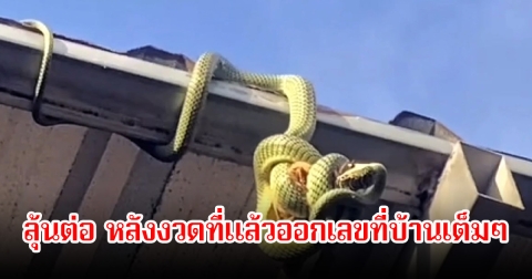 ส่องทะเบียนรถ งูเขียวพระอินทร์กินนกกระจอก เผยงวดที่แล้วออกเลขที่บ้าน ลุ้นต่อ 1 มิ.ย. 68