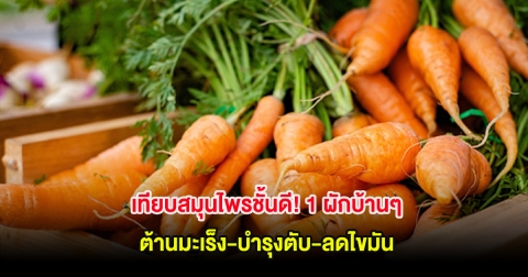 เทียบสมุนไพรชั้นดี! 1 ผักบ้านๆ ต้านมะเร็ง-บำรุงตับ-ลดไขมัน