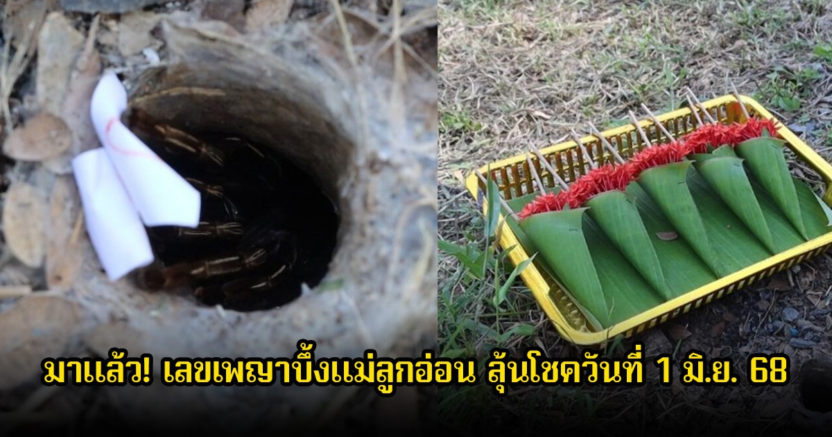 มาแล้ว! เลขเพญาบึ้งแม่ลูกอ่อน ลุ้นโชควันที่ 1 มิ.ย. 68